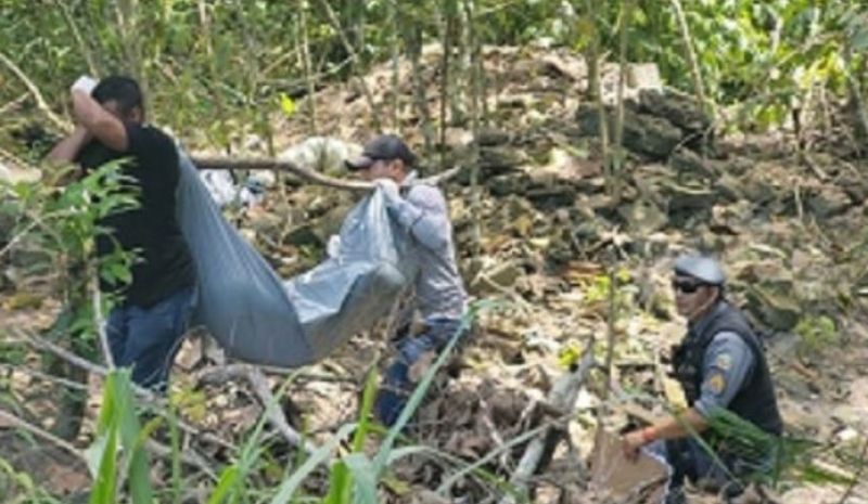 Corpo é encontrado em área de mata na zona norte de Manaus